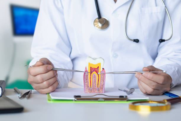 Best Emergency Tooth Extraction in Chenango Bridge, NY